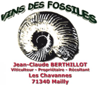  -  - Vin des Fossiles - 1